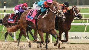 After 14 dormant years, ‘Zaria Horse Racing Derby’ returns with foreign entries