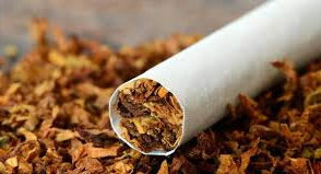 Economic burden of tobacco consumption in Nigeria totals N211.2bn annually – NTCA
