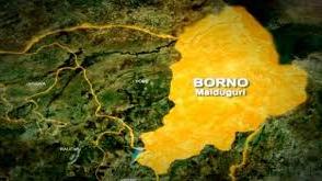 We were starved, molested by Boko Haram -Rescued Ngoshe captives recount ordeal
