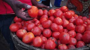 Tomato, food prices rise in May — NBS