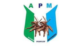 2027: Tinubu jittery over Makinde’s growing popularity — APM claims