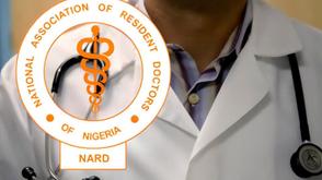 We will go on strike if you intimidate doctors — NARD warns LUTH