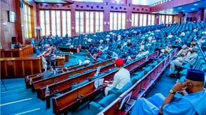 Account for CBN, NNPC Ltd outstanding liabilities — Reps tell AGF