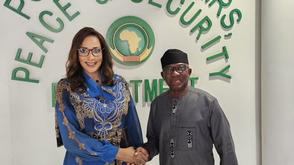 AU commits $21.1m to MNJTF, as FG, AU discuss Sahel security
