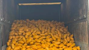 Troops intercept truck conveying illicit drugs on Lagos-Calabar Coastal Road