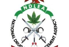 NDLEA warns against fake vehicle auction offers