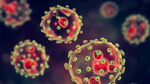 Lassa fever: NCDC activates emergency response, as fatality rate hits 24%
