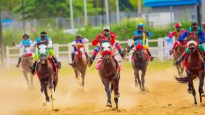Tinubu reiterates support for horse racing revival