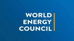 Nigeria rejoins World Energy Council as newest member committee