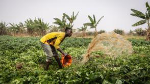 Nigeria’s food security begins before the farm