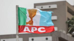 2027: APC needs presidential campaign DG with national appeal -Group
