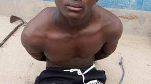 Troops arrest suspected ISWAP operative, recover photo of armed men in Borno
