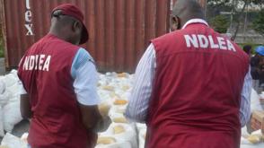 NDLEA dismantles 6 drug black spots in Jigawa