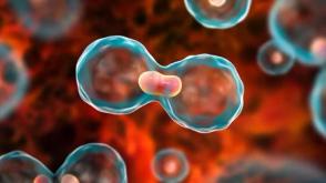 Cancer: Oncologist urges early alarm, detection