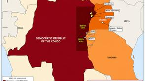 Bundibugyo virus outbreak intensifies in DRC, cases rise to 4,665- WHO