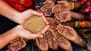 More revenue, more hunger: Where is Nigeria’s fiscal dividend?