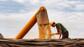 Iran develops plant-based alternatives to chemical pesticides