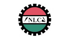 Account freeze: We requested ₦20,000 palliative, not ₦10,000 — Osun NLC
