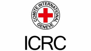 Borno state tops missing persons list — ICRC