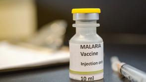 Kano govt suspends SMC malaria programme, probes implementation