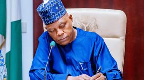 Shettima: Diaspora remittances strengthening Nigeria’s external position