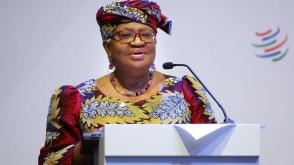 Why Niger Delta states should establish viable economic zones — WTO DG