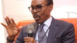 Nigeria is gradually shifting from consumption to investment-driven growth — Rewane declares