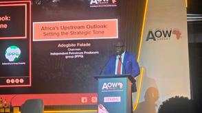 AOW 2026: Over 150 energy projects stalled across Africa due to foreign capital retreat — Falade