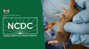 NCDC reports 1,086 Lassa fever cases
