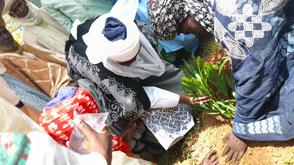 Emir of Zazzau inaugurates tree planting along ancient Zaria city walls