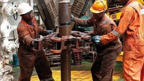 NIPetE calls for increased collaboration to bridge graduate skill gaps in oil sector