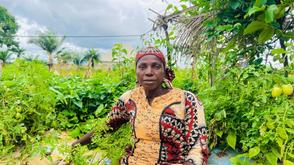 CSOs, women farmers laud Nasarawa govt on citizen budget initiative