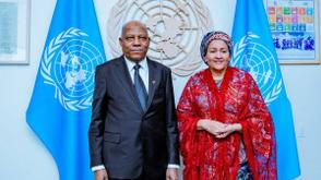 Africa’s exclusion from Security Council undermines fairness — Shettima