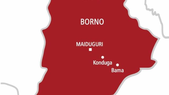 Food shortage: Boko Haram collecting levies, killing Borno farmers – Suleman cries out
