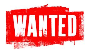 Declared “Wanted” by politics: A sister’s cry for justice in Nigeria