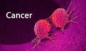 Early cancer diagnosis improves chances of effective treatment, outcome – FG