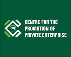 Flickering cost: CPPE wants CBN to peg customs duty at N1,000/$