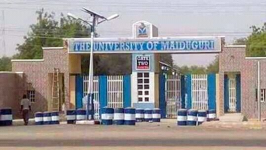 UNIMAID: NAAT members launch three-day warning strike amidst ongoing unrest
