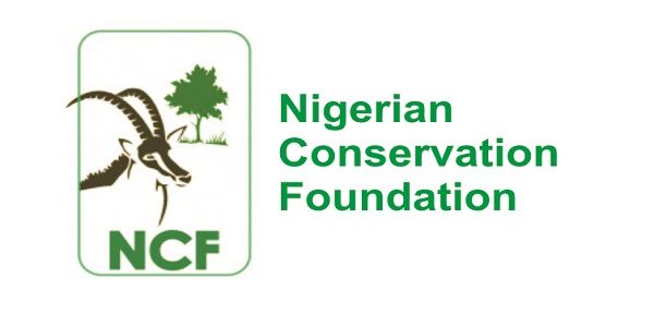 NCF appoints new director of communications, advocacy