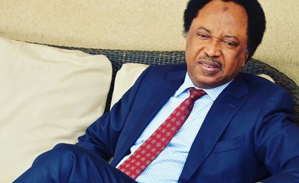 Leave social media and run for office – Shehu Sani tells critics