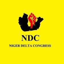 Lagos NDC excos feud over conduct of primaries, results