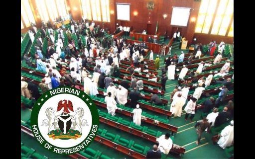 Reps ask FG to settle €1.1m OACPS-EU debt to avert embarrassment, sanctions