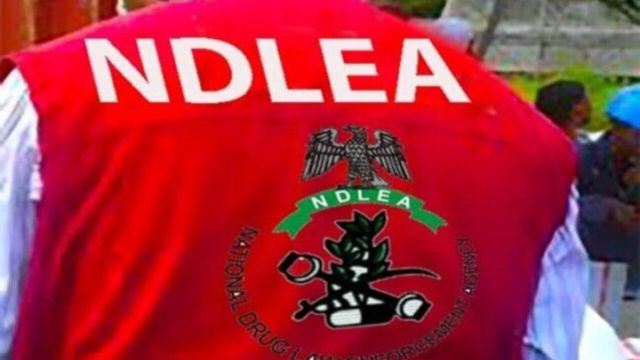 NDLEA arrests wanted fugitive drug lord in Lagos