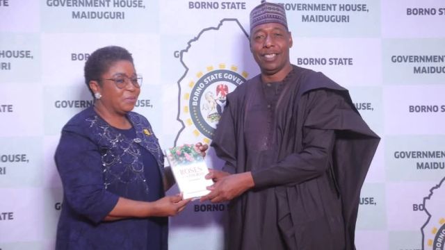 Zulum to adopt FG’s digital civil service innovation in Borno