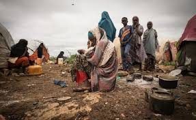 Stakeholders demand 10% budget for agriculture to combat looming food crisis