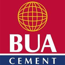 BUA Cement posts 90.5% revenue surge to N867.5bn, declares N2.05 dividend