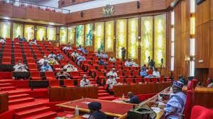 Senate dismisses rift rumours, says leadership remains united