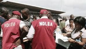NDLEA recovers $17.7million travelers’ cheques in children books