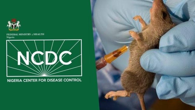 Lassa fever killed 215 Nigerians in 2025 – NCDC