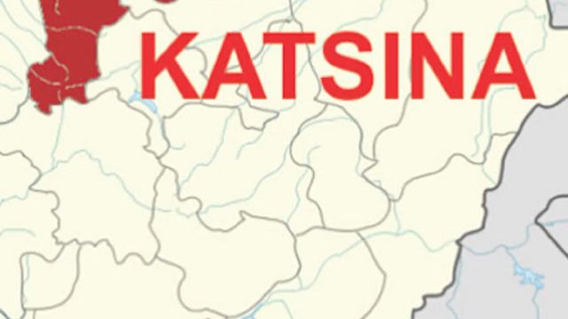 Joint security team neutralises 7 bandits, recovers 109 animals in Katsina